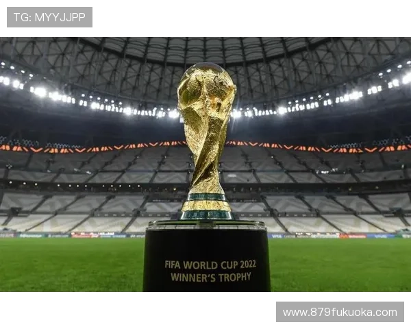 尊龙世界杯竞猜：如何选择最优投注方案提升中奖几率的实用指南