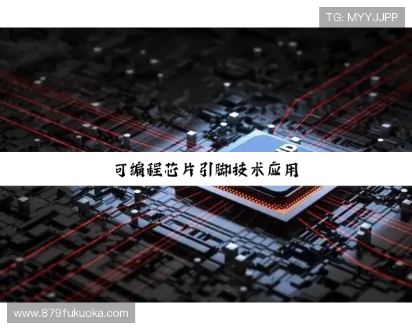 尊龙z6网娱乐app支持的多种支付方式及充值提现流程详解 尊龙z6网娱乐app支持的多种支付方式及充值提现流程详解