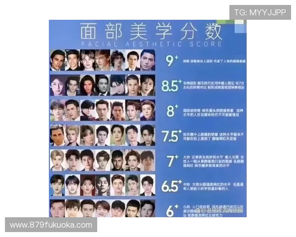 尊龙集团娱乐平台用户评价与反馈汇总帮助新手选择优质平台