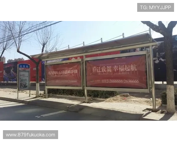 聆听d88尊龙大厅用户的真实反馈与游戏体验评价