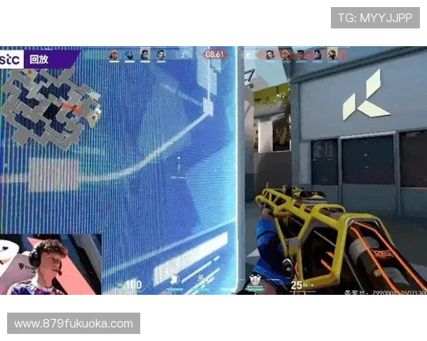 针对新手玩家的指南，如何在凯时尊龙官方网站上获得最佳游戏体验