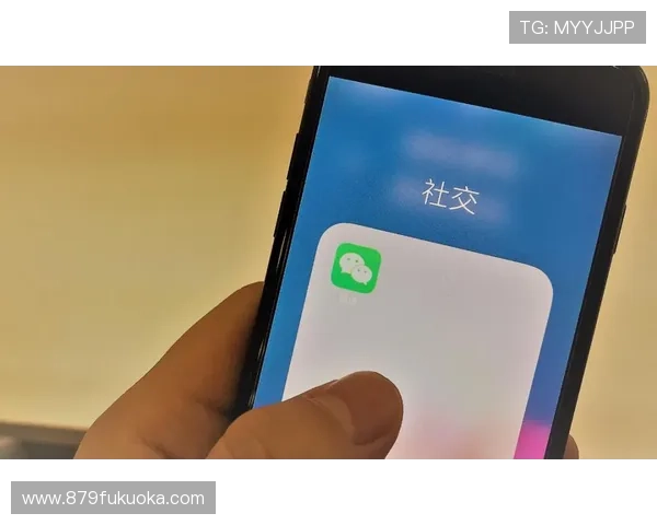 Z6尊龙手机版最新版本更新内容详解，掌握新功能与优化内容